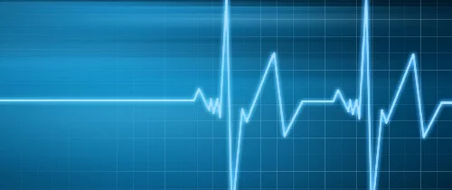 Puls der Zeit Puls der Zeit