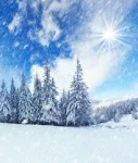 Immobilien-Klima-trübe-Schneelandschaft-Sonne Immobilien-Klima-trübt-sich-ein