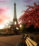 Paris Eifelturm - online