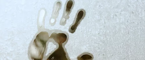 Transparenz
