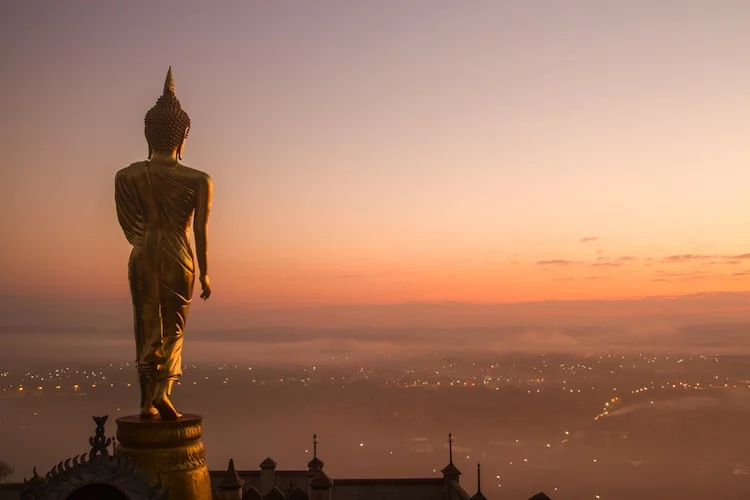 Buddha mit Aussicht - 750