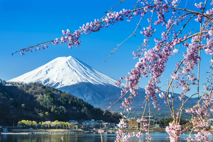 Japan Fuji - 750