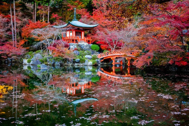 Japan - Tempel im Wald - 750