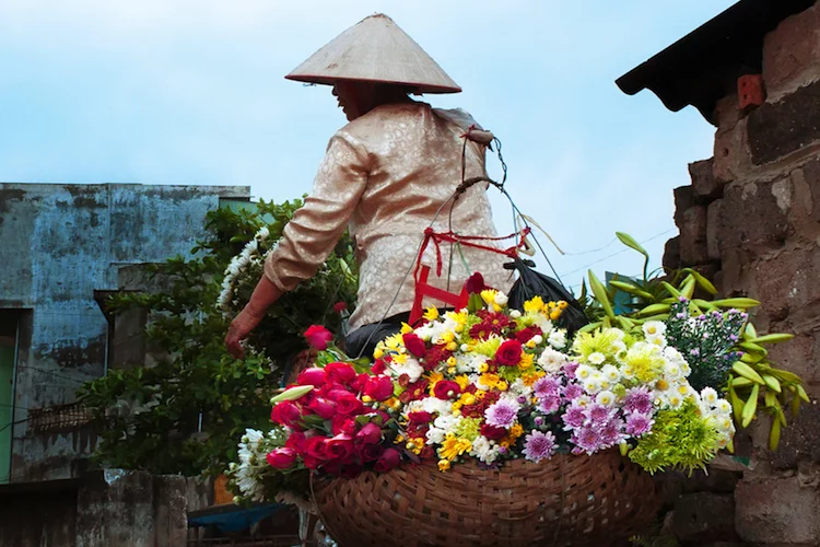 Asia Blumen - 750