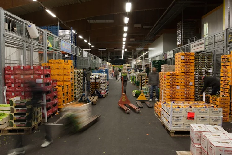 Frischemarkt Leipzig