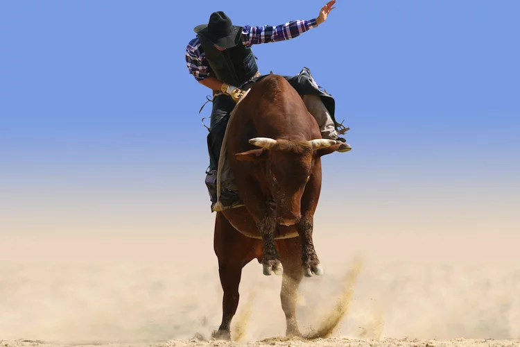 Cowboy Bulle - 750