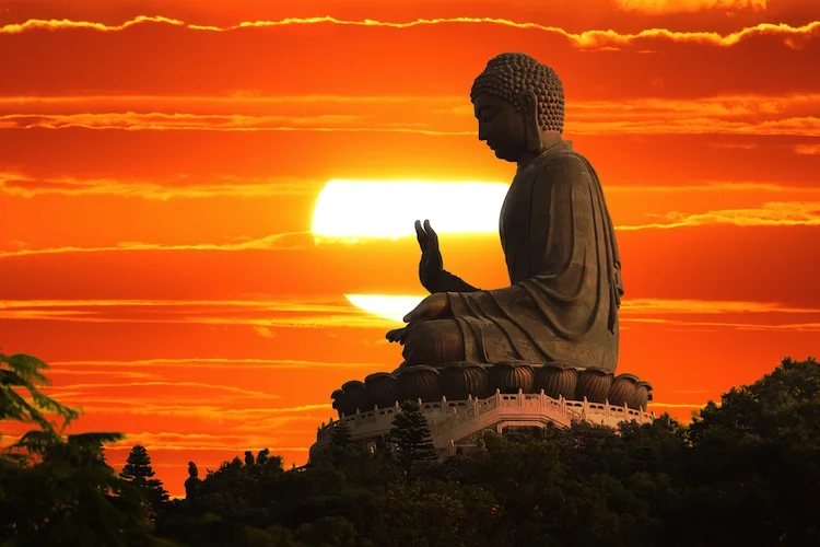 Buddha maxi - 750
