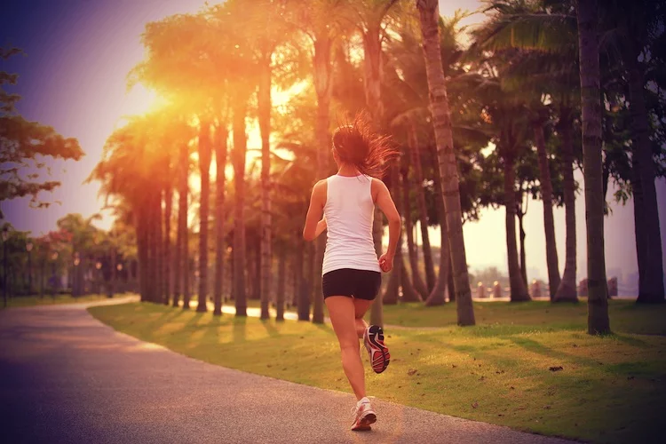 Fitness
