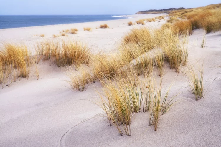 Strand_Sylt_shutterstock_276421142 Kopie