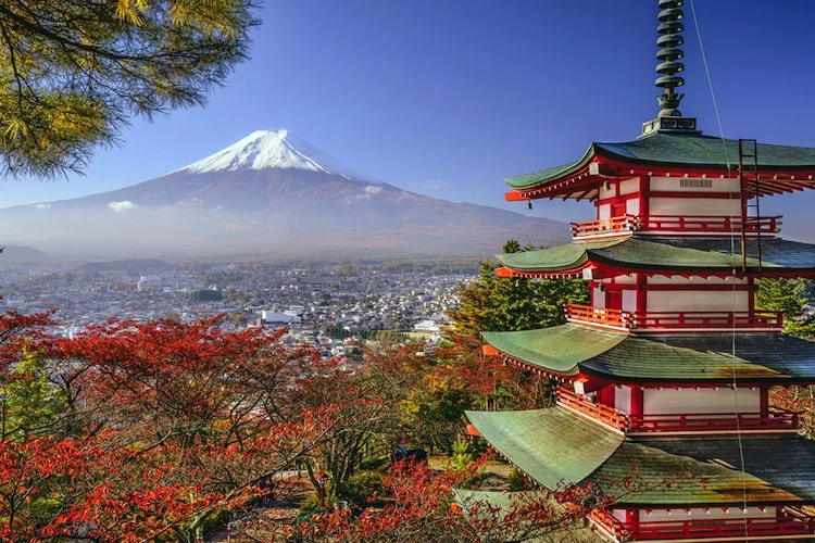 shutterstock_215261341