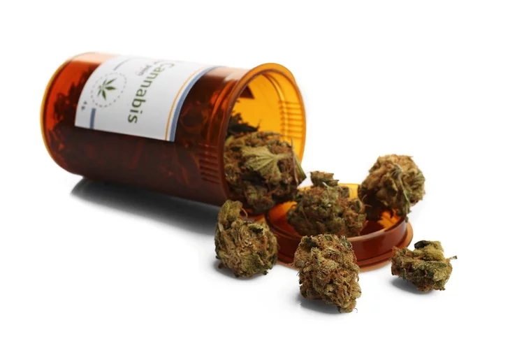 Um die Versorgung sicherzustellen, werde der Anbau von Cannabis zu medizinischen Zwecken in Deutschland ermöglicht, schreibt die Regierung.