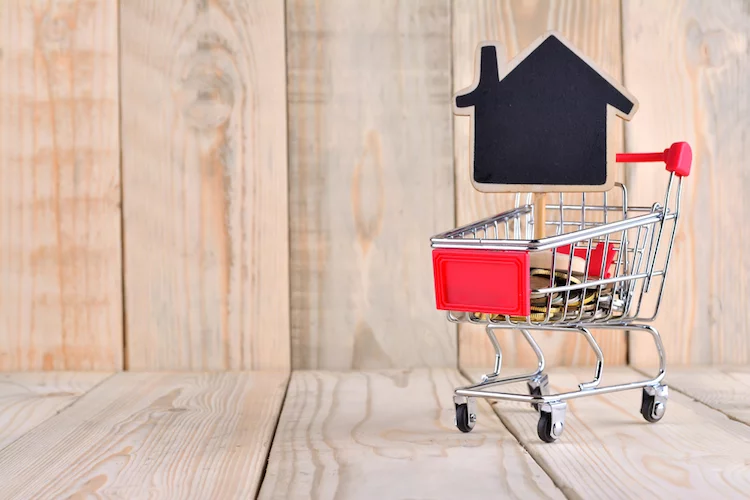 haus einkaufswagen geld shutterstock_583714450