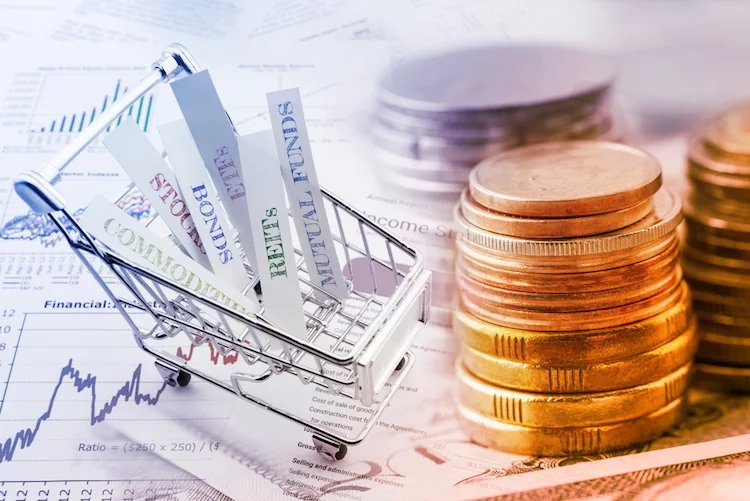 Auch für 2019 gilt, dass Anleger ihr Vermögen auf unterschiedliche Assetklassen und Regionen streuen sollten.