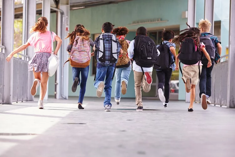 Die Schulen behandeln das Angebot meist wie eine Pflichtversicherung.
