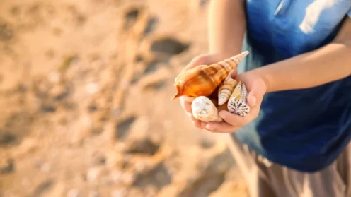 Junge sammelt Muscheln am Strand, Urlaub, Recht, Versicherungen