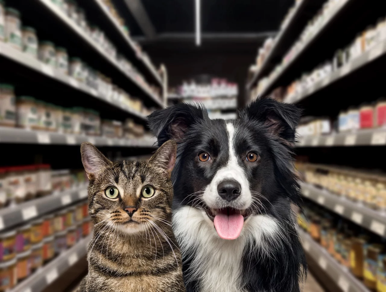 Katze und Hund schauen in die Kamera, vor einem Futterregal in einer Zoohandlung. Der Hintergrund ist unscharf und dunkel, Tierversicherung, Hundeversicherung, Katzenversicherung, Vertrieb