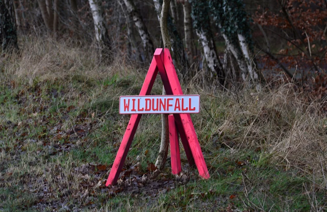 Wildunfall, Lüneburger Heide