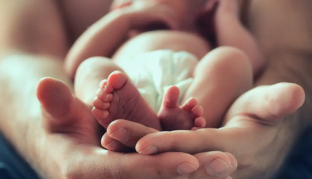 Geborgen und sicher: Versicherungen, Nachwuchs, Geburt, Familien