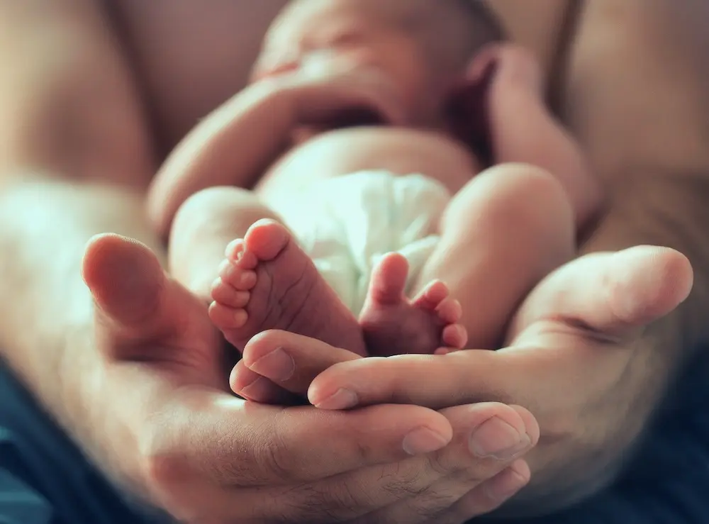 Geborgen und sicher: Versicherungen, Nachwuchs, Geburt, Familien