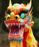 dragon2 - 204_240 - shutterstock_2651074