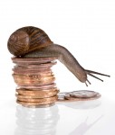 snail - shutterstock_15364441