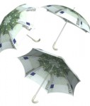 versicherung schutz regenschirm geld