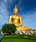 Buddha Thai online