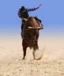 Cowboy Bulle - online