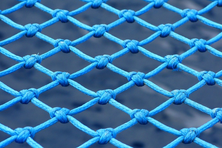 die-bayerische-netz