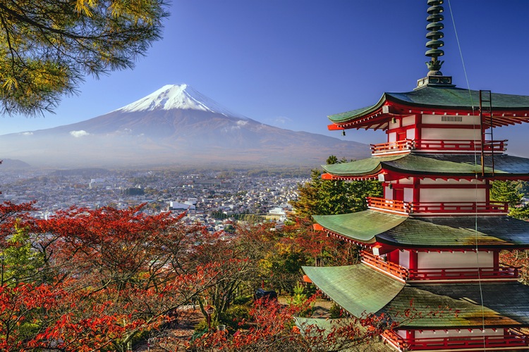 shutterstock_215261341
