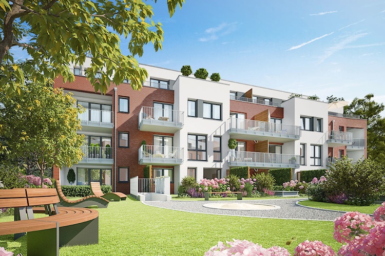 project-niendorf