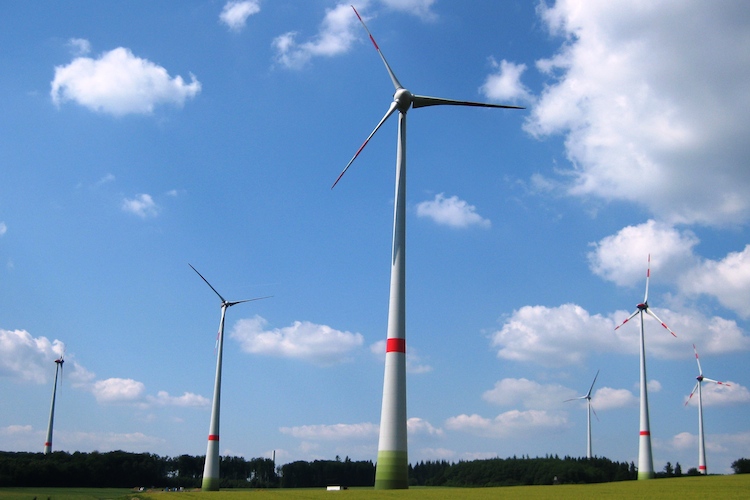 Chorus-Windpark in Kappel (Rheinland)