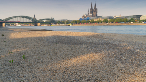 Ein Bild vom Rheinufer mit Blick auf den Kölner Dom