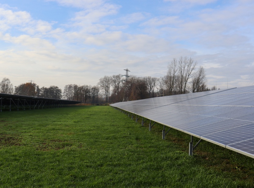 Die Solaranlagen von LHI stehen auf einer grünen Wiese