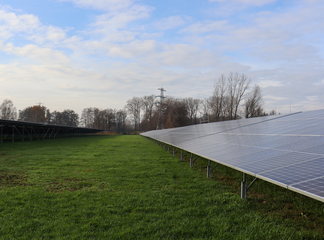 Die Solaranlagen von LHI stehen auf einer grünen Wiese
