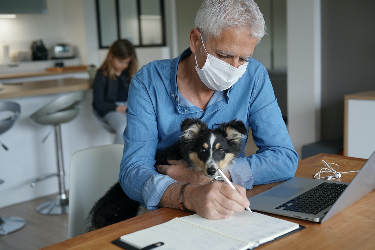 Alster Mann mit Hund auf Schoss arbeitet von zu Hause