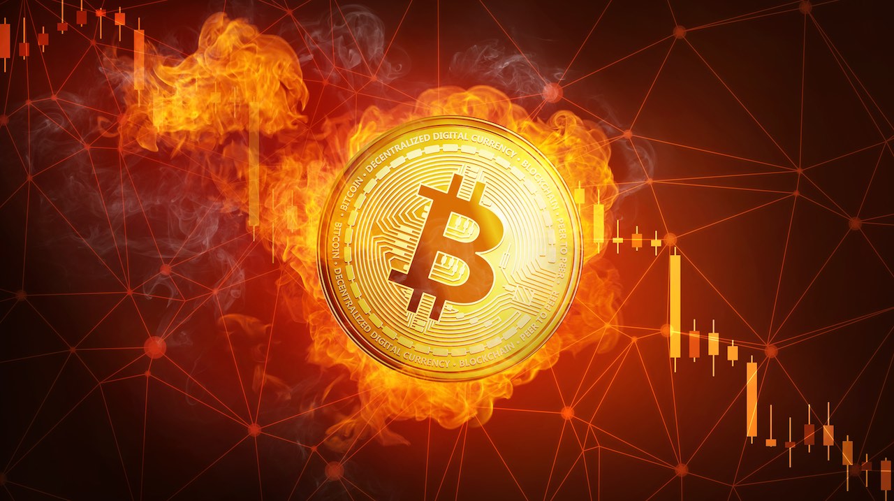 junge kryptowährung mit potenzial unternehmen die in bitcoin investieren