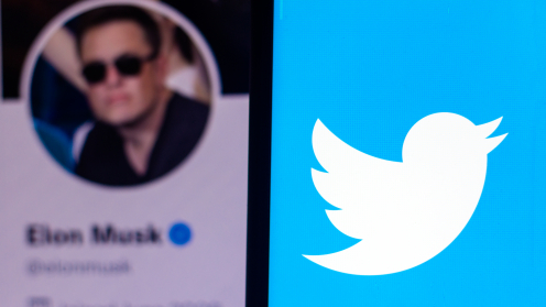 Das Twitter Logo und das Bild vom Twitter-Account von Elon Musk