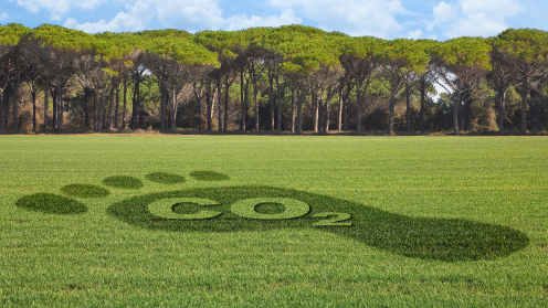 Eine große grüne Wiese auf der man in dunklerem Grün einen fußabdruck sieht auf dem CO2 steht