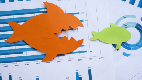Mergers and acquisitions concept. Two paper fish lie on