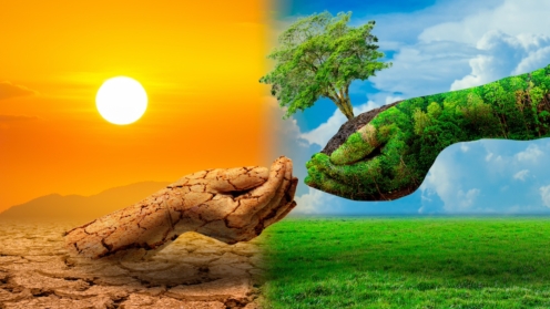 tree in two hands with very different environments Earth Day or World Environment Day Global Warming and Pollution