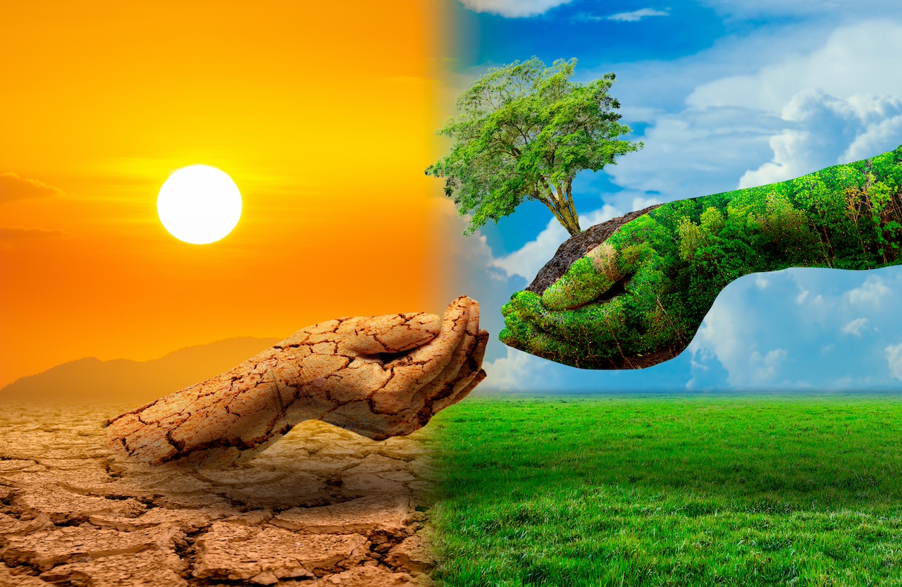 tree in two hands with very different environments Earth Day or World Environment Day Global Warming and Pollution