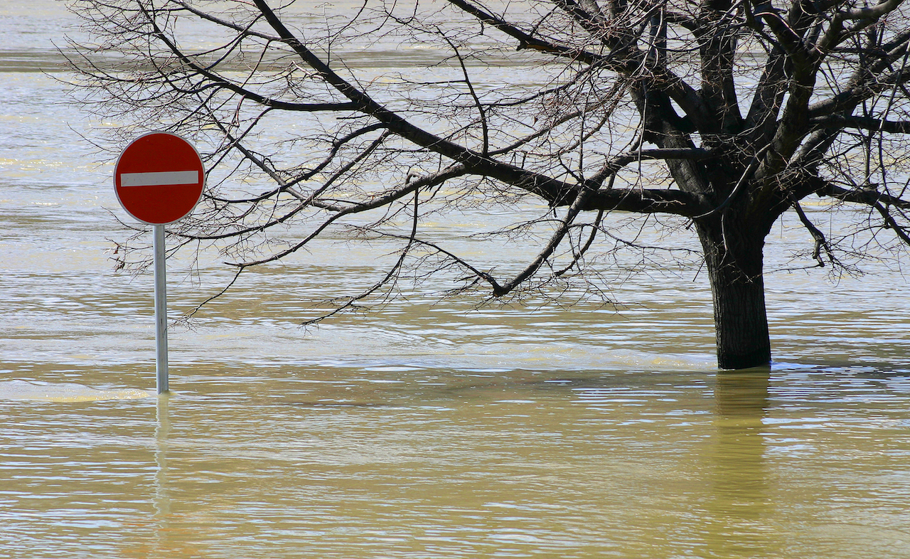 Baum im Hochwasser