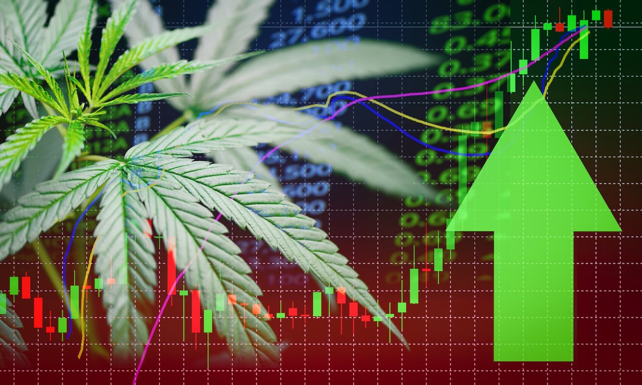 Geschäft Marihuana hinterlässt Cannabis Aktienerfolg Marktpreis