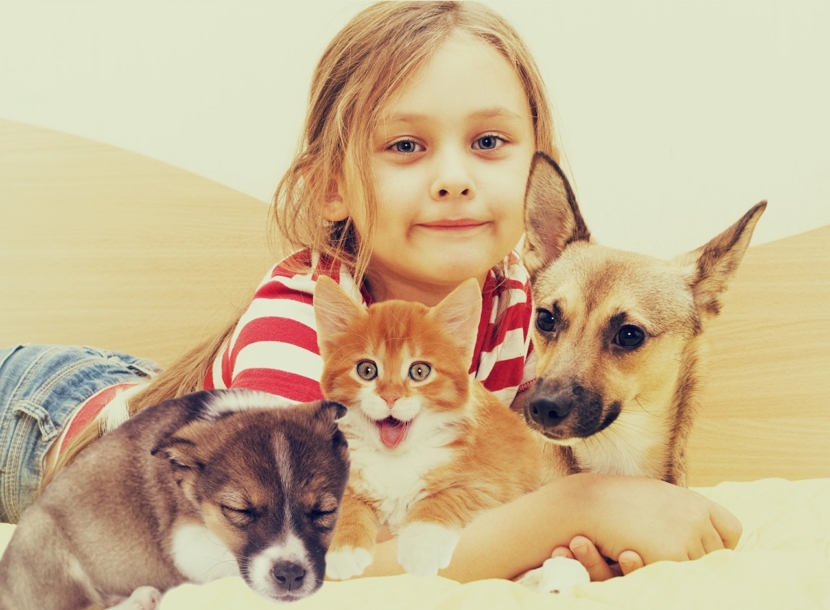 Kind mit Hundewelpen und kleiner Katze