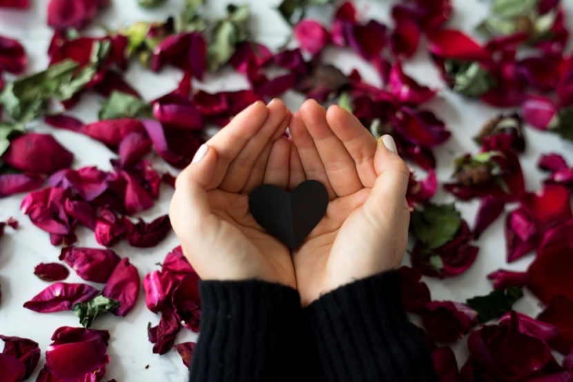 Broken Heart Sadness Frustration Flower Leafs