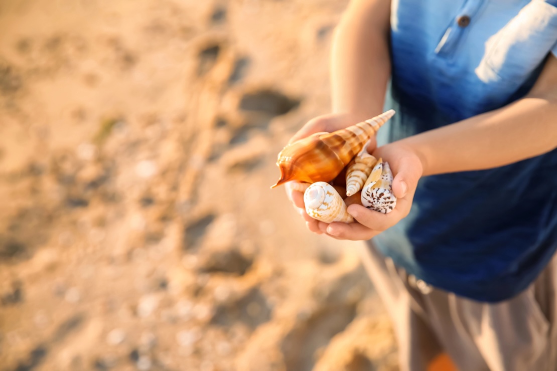 Junge sammelt Muscheln am Strand, Urlaub, Recht, Versicherungen