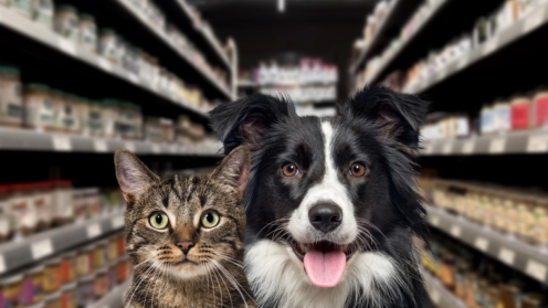 Katze und Hund schauen in die Kamera, vor einem Futterregal in einer Zoohandlung. Der Hintergrund ist unscharf und dunkel, Tierversicherung, Hundeversicherung, Katzenversicherung, Vertrieb