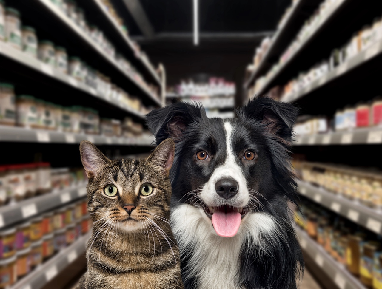 Katze und Hund schauen in die Kamera, vor einem Futterregal in einer Zoohandlung. Der Hintergrund ist unscharf und dunkel, Tierversicherung, Hundeversicherung, Katzenversicherung, Vertrieb