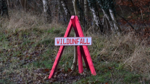 Wildunfall, Lüneburger Heide